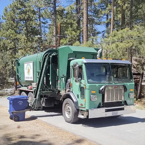 Big Bear Disposal Truck Collecting Trash